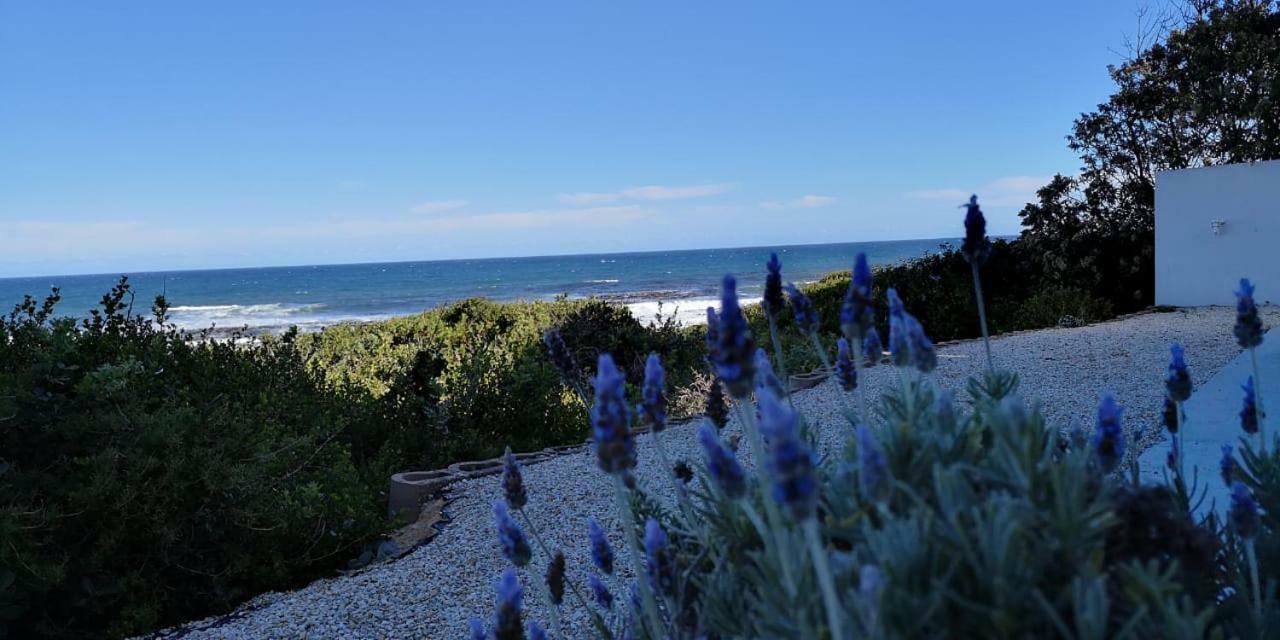 Beach Villa Apartment Hermanus Bagian luar foto